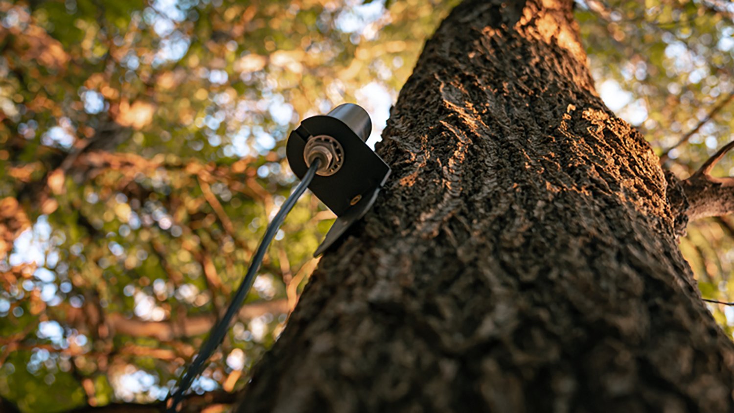 SpyPoint CA01 Long Range Cellular Antenna                                                                                        - view number 6