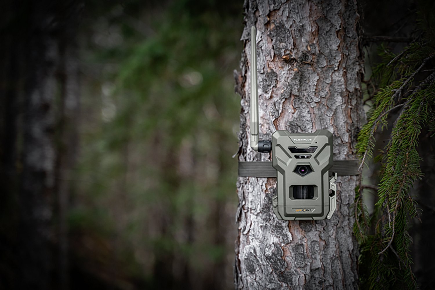 SpyPoint Flex-Plus Cellular Trail Camera - view number 7