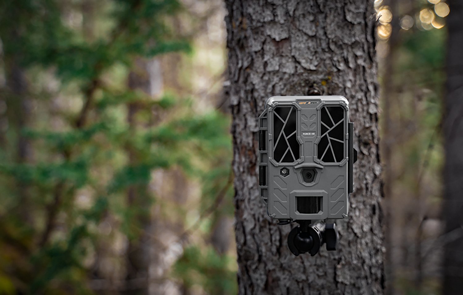 SpyPoint Force-48 Non-Cellular Trail Camera                                                                                      - view number 6
