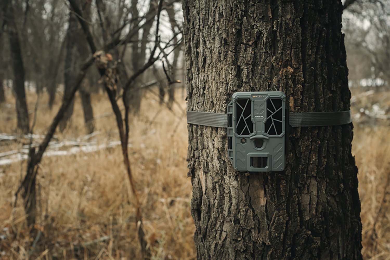 SpyPoint Force-48 Non-Cellular Trail Camera                                                                                      - view number 7