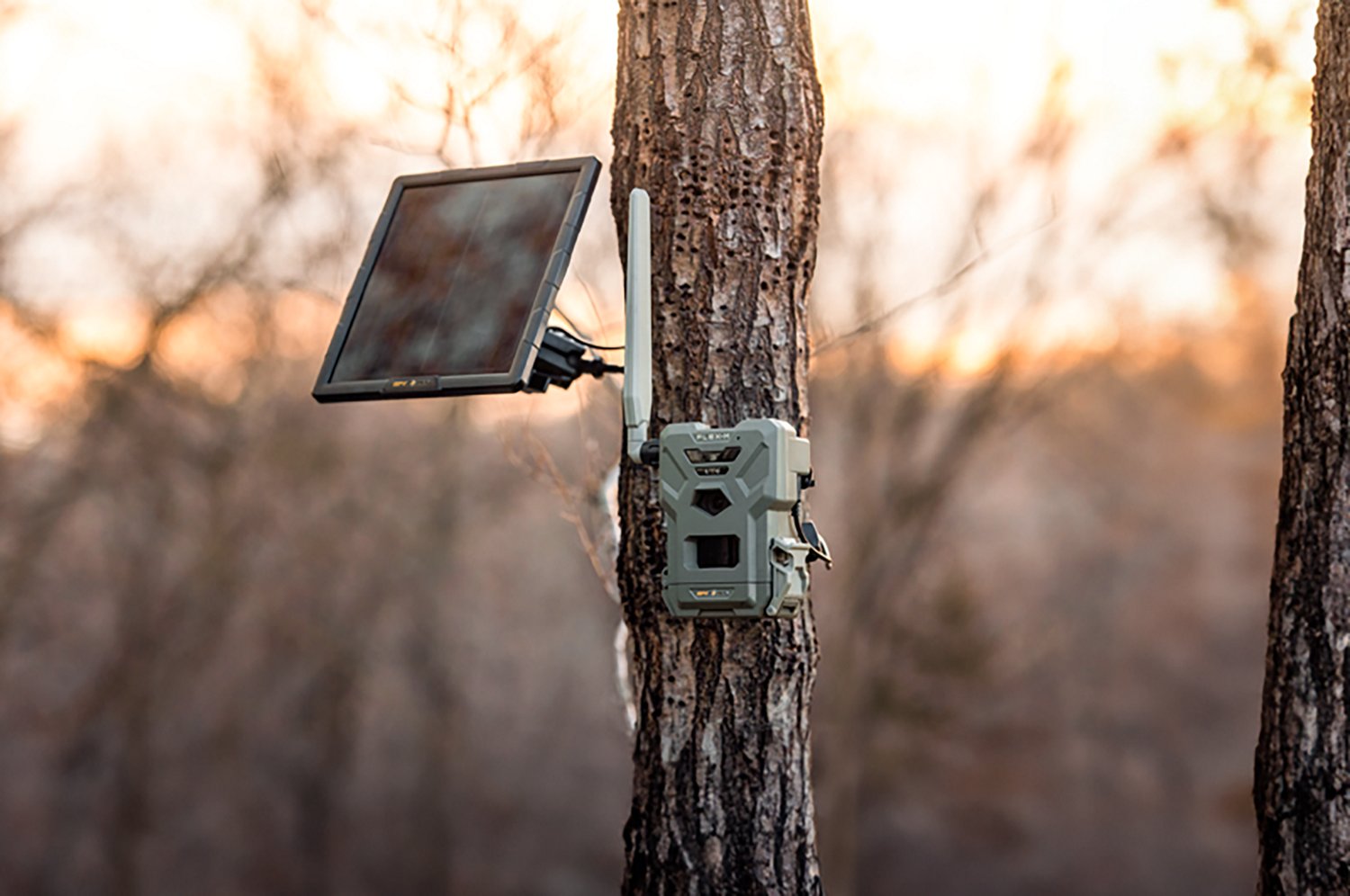 SpyPoint Flex M Cellular Trail Camera with Solar Panel