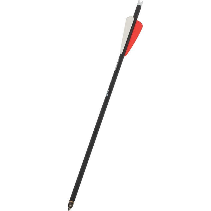 Bear Archery Truex … - image