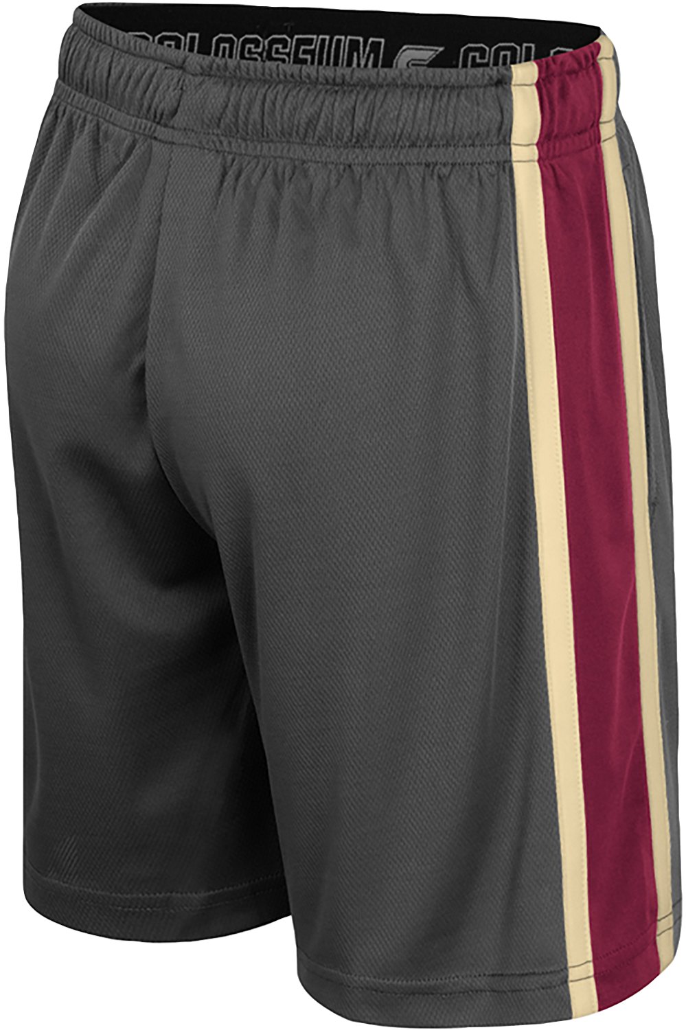Colosseum Athletics Kids' Florida State Seminoles Ripple Shorts 6.25 in. - view number 2