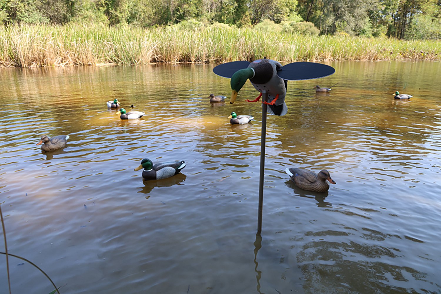 MOJO Outdoors Silver Mallard Duck Decoy - view number 2