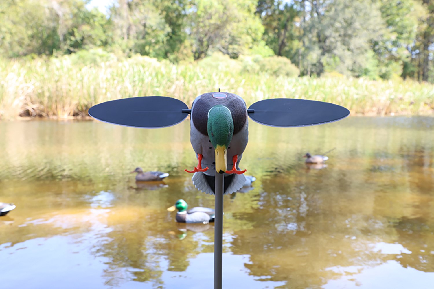 MOJO Outdoors Silver Mallard Duck Decoy - view number 3