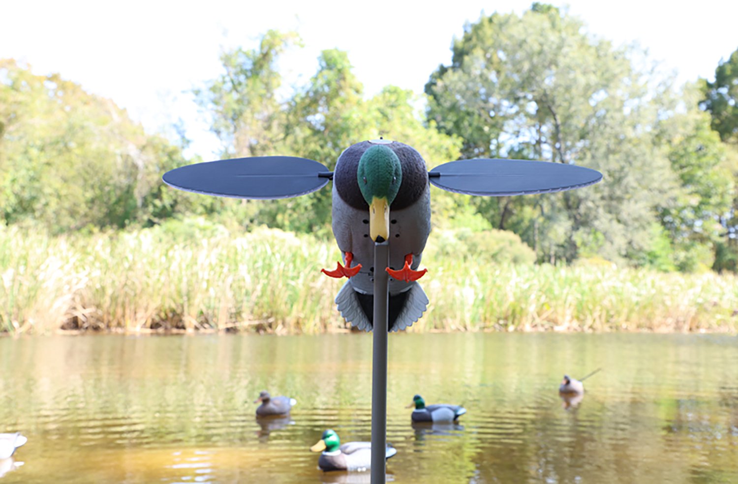 MOJO Outdoors Silver Mallard Duck Decoy - view number 4