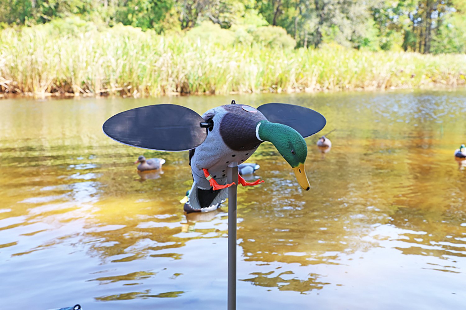 MOJO Outdoors Silver Mallard Duck Decoy - view number 5