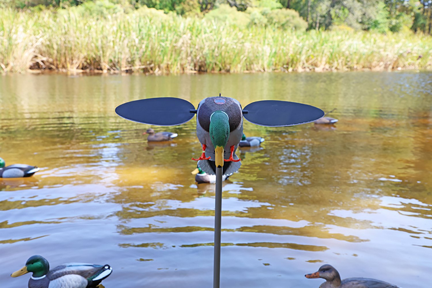MOJO Outdoors Silver Mallard Duck Decoy - view number 6