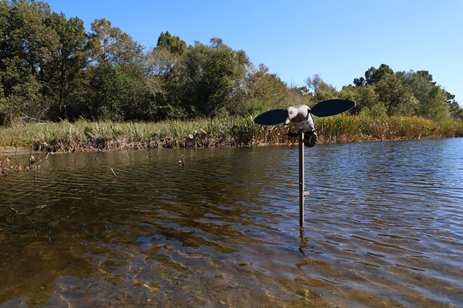 MOJO Outdoors Green Wing Duck Decoy - view number 4