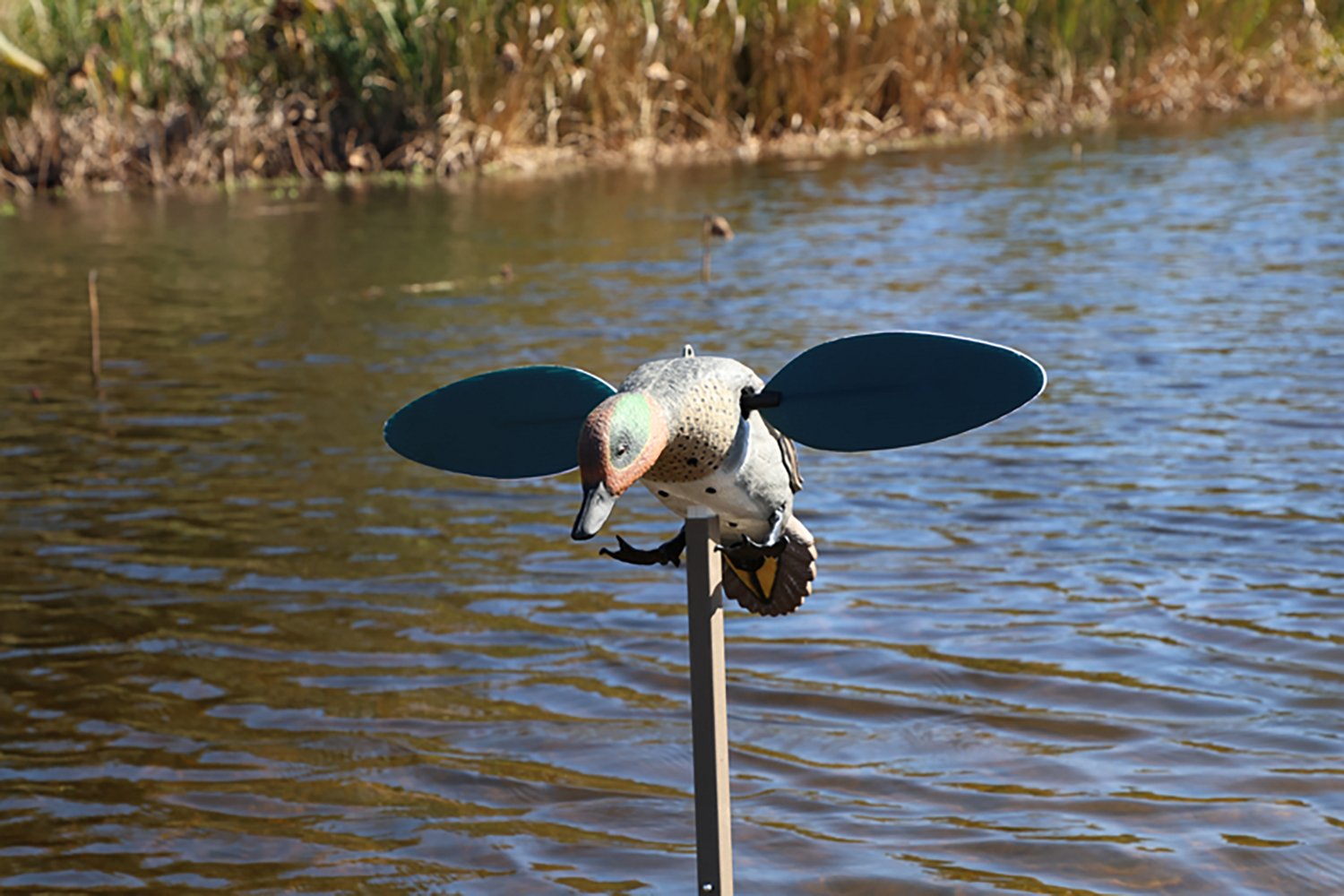 MOJO Outdoors Green Wing Duck Decoy - view number 5