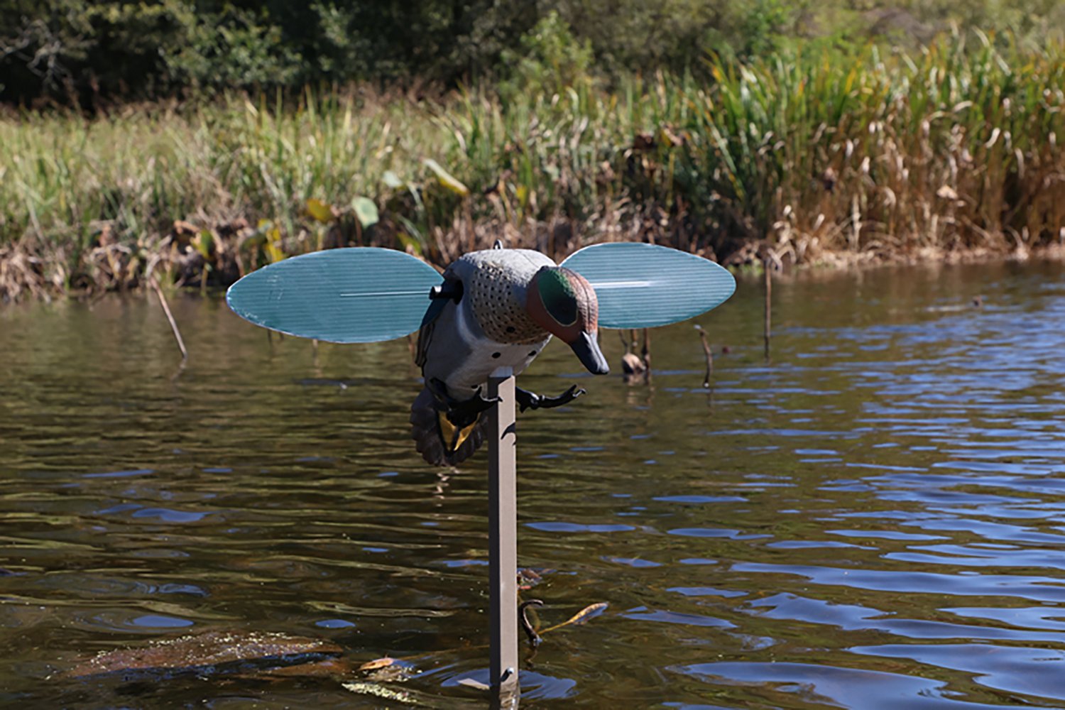 MOJO Outdoors Green Wing Duck Decoy - view number 6