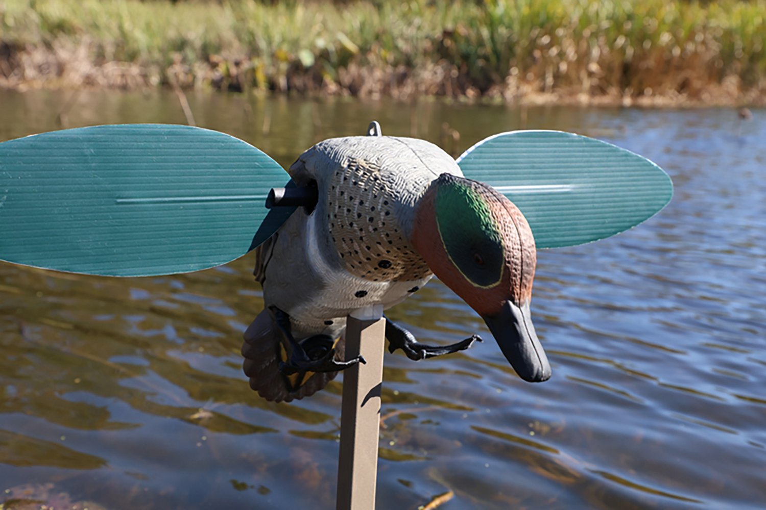 MOJO Outdoors Green Wing Duck Decoy - view number 7