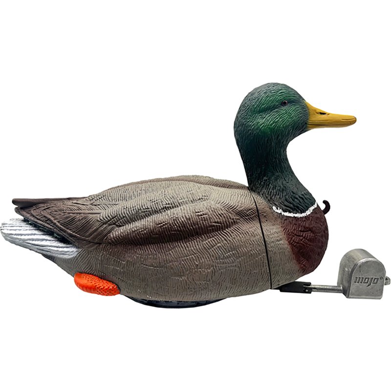 MOJO Outdoors Dabbler Duck Decoy