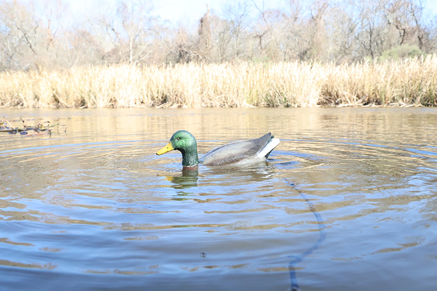 MOJO Outdoors Dabbler Duck Decoy - view number 2
