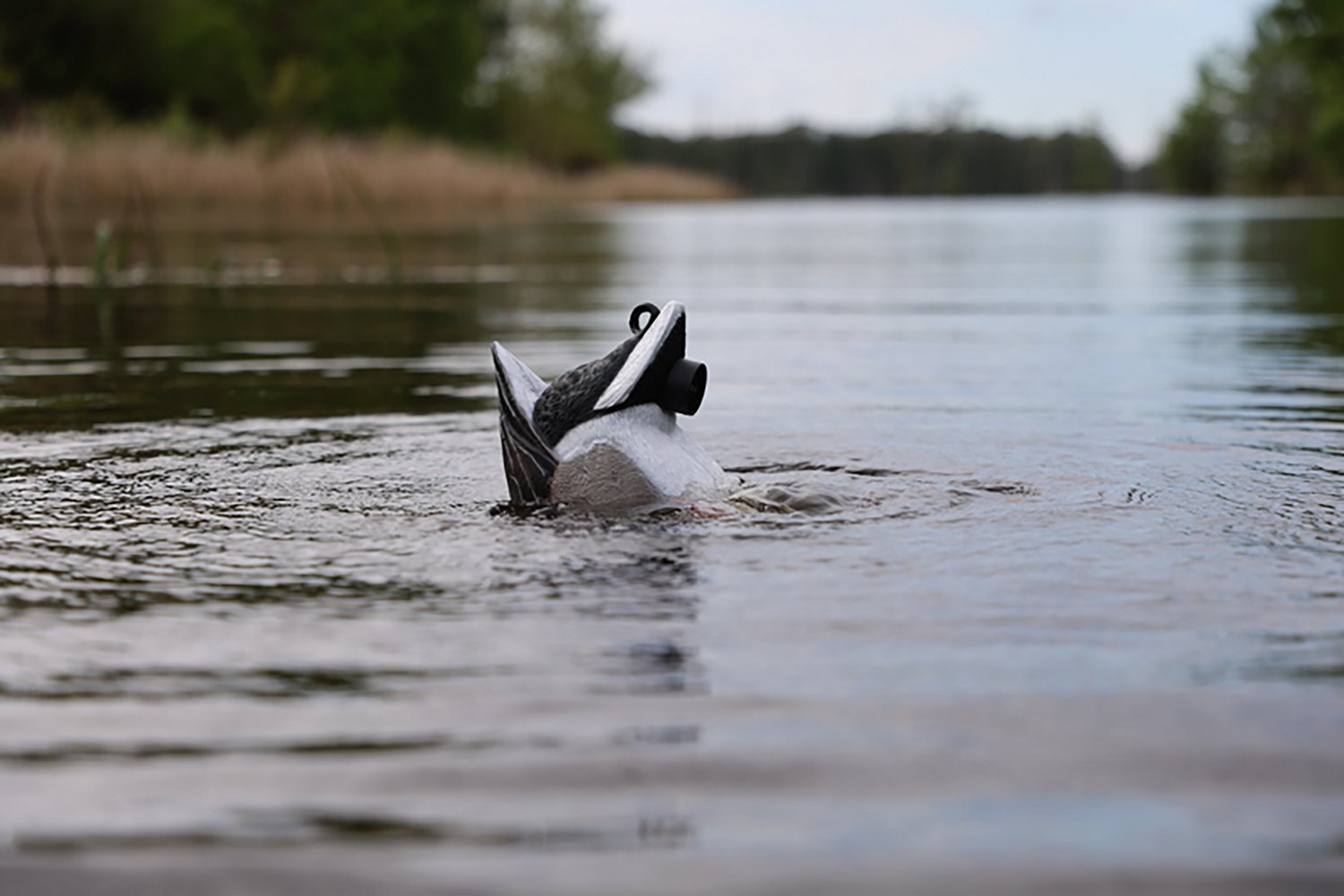 MOJO Outdoors Mallard Machine Decoy - view number 2