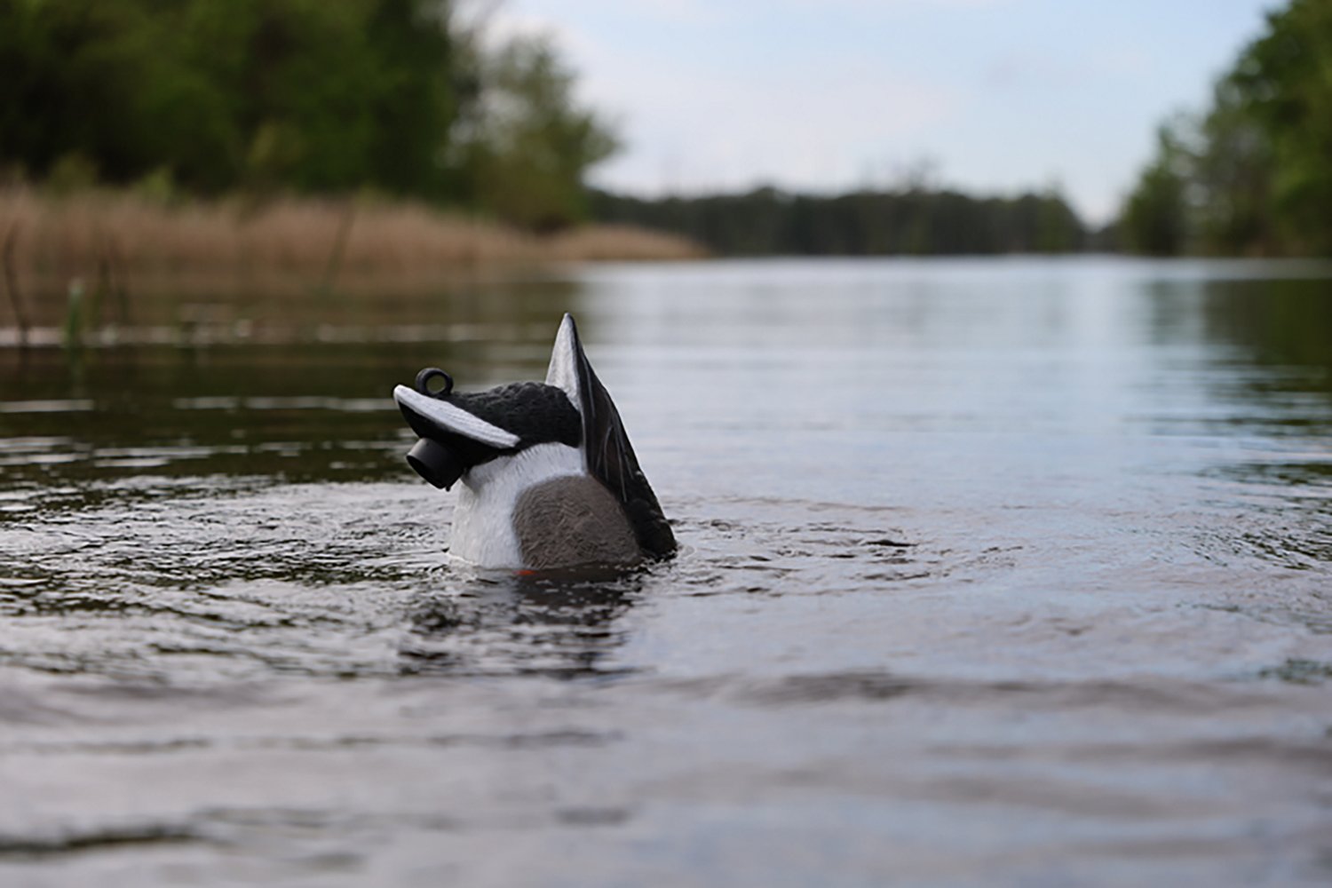 MOJO Outdoors Mallard Machine Decoy - view number 3