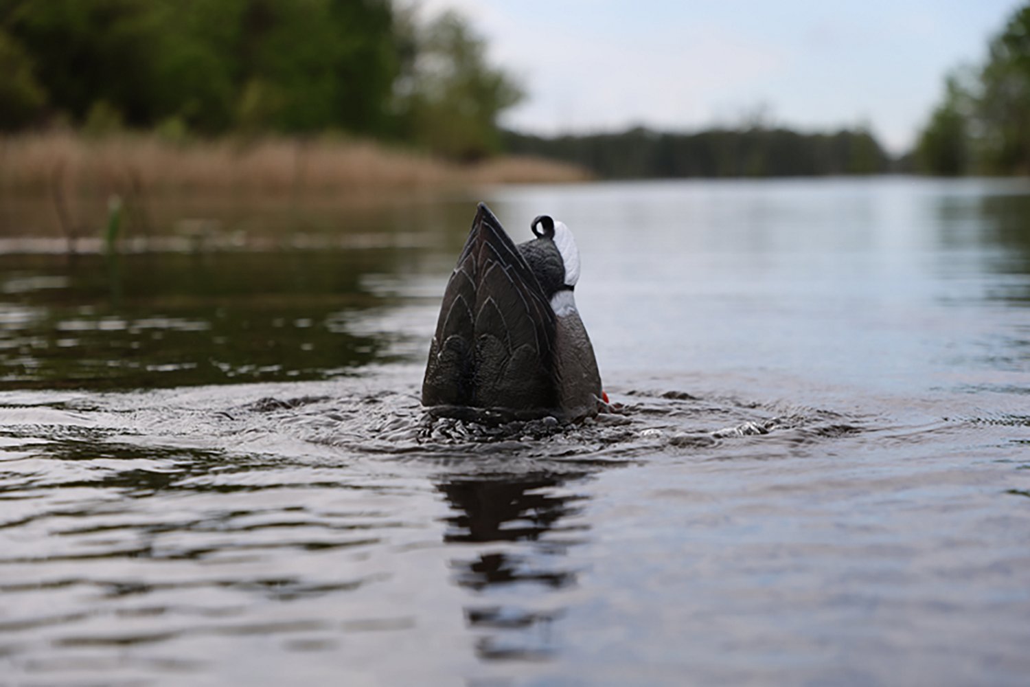 MOJO Outdoors Mallard Machine Decoy - view number 5