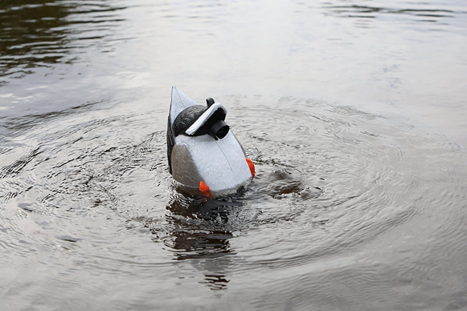 MOJO Outdoors Mallard Machine Decoy - view number 6