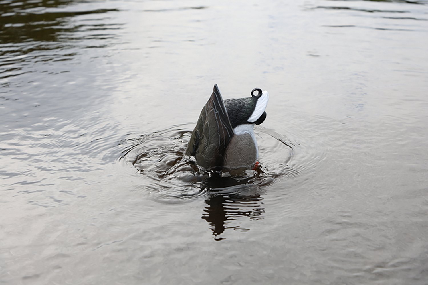 MOJO Outdoors Mallard Machine Decoy - view number 7