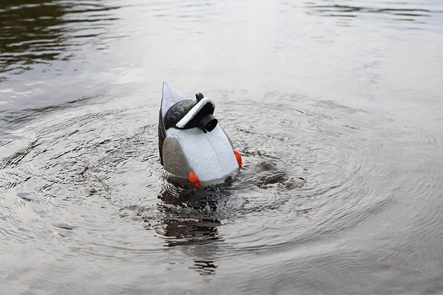 MOJO Outdoors Mallard Machine Decoy - view number 8