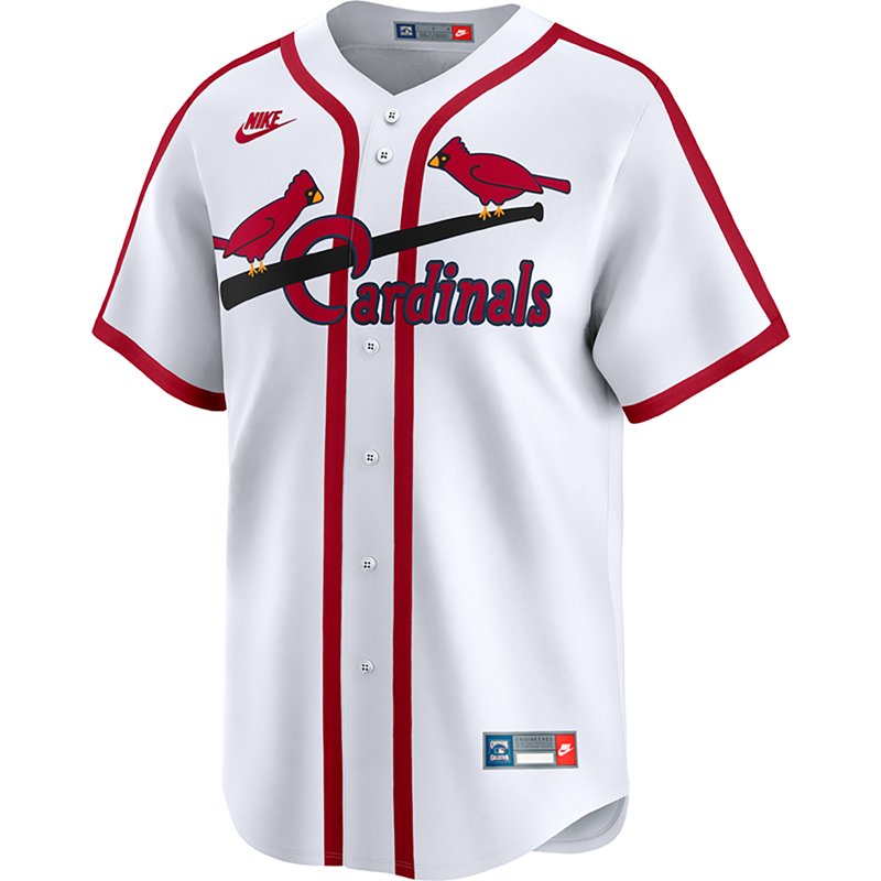 Nike Men's Cardinal… - image