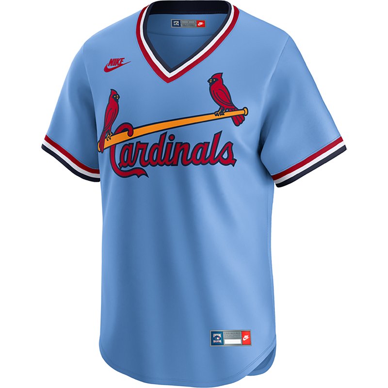 Nike Men's Cardinal… - image