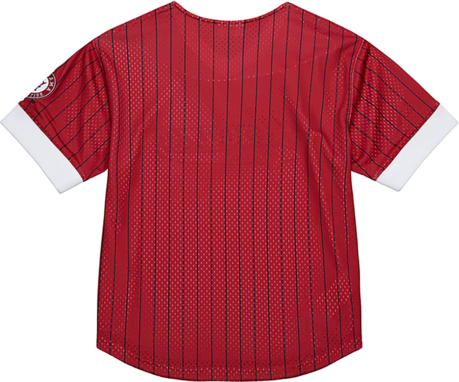 Mitchell & Ness Men's Alabama Double Play Primary Logo Baseball Jersey - view number 2