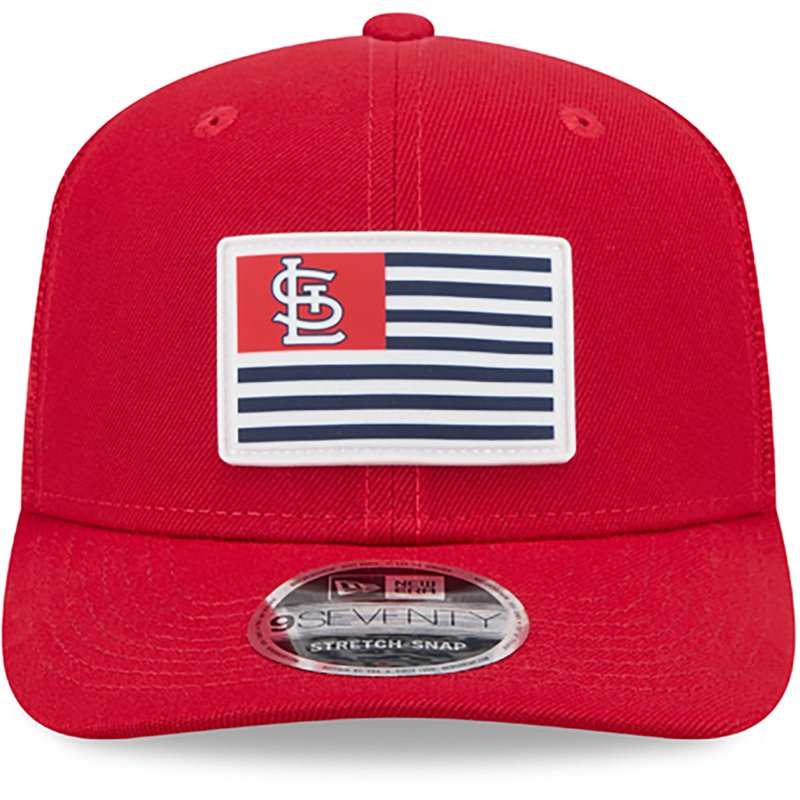 New Era Adults' Car… - image