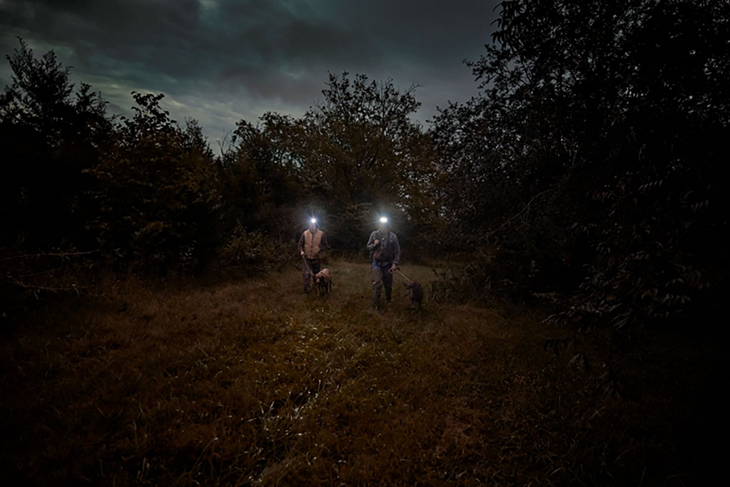 Garmin Alpha 10 Handheld