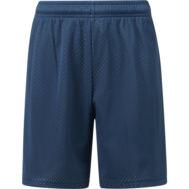 Bcg Boys' Mesh 2Ton… - image