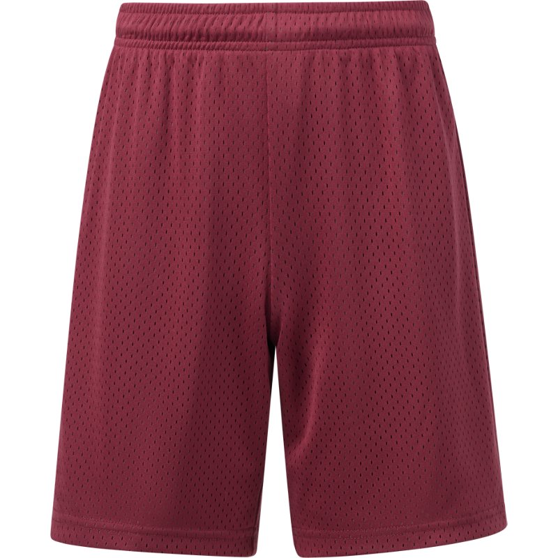 Bcg Boys' Mesh 2Ton… - image