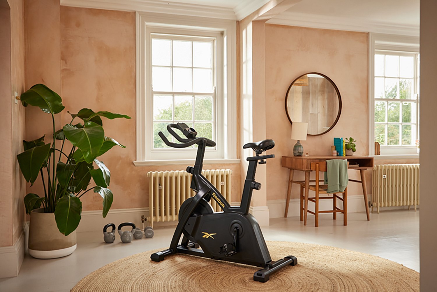 Reebok FR30 Sprint Exercise Bike  - view number 6