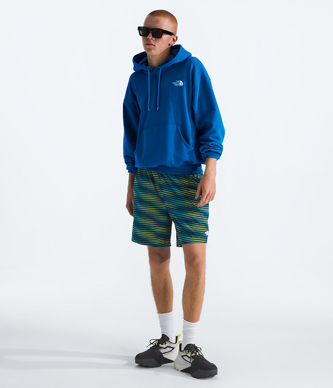 The North Face Men's Evolution Vintage Hoodie                                                                                    - view number 3