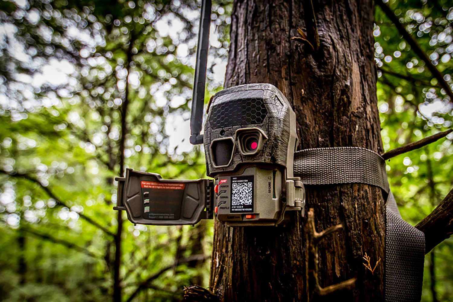Wildgame Innovations Encounter 26.0 MP Game Camera                                                                               - view number 6