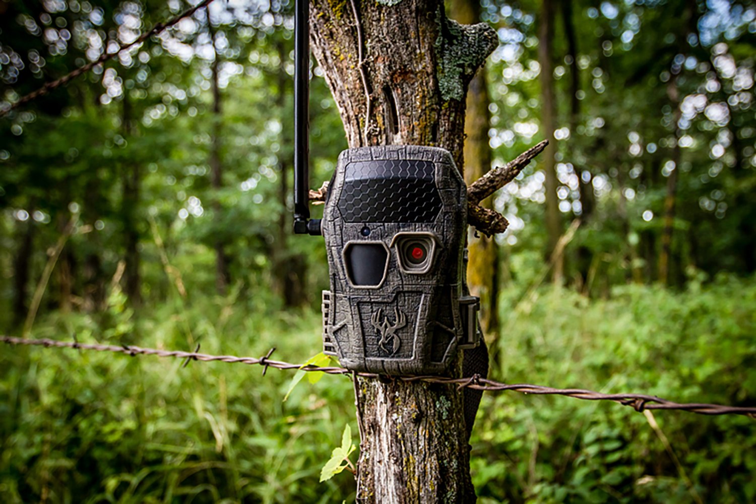 Wildgame Innovations Encounter 26.0 MP Game Camera                                                                               - view number 8