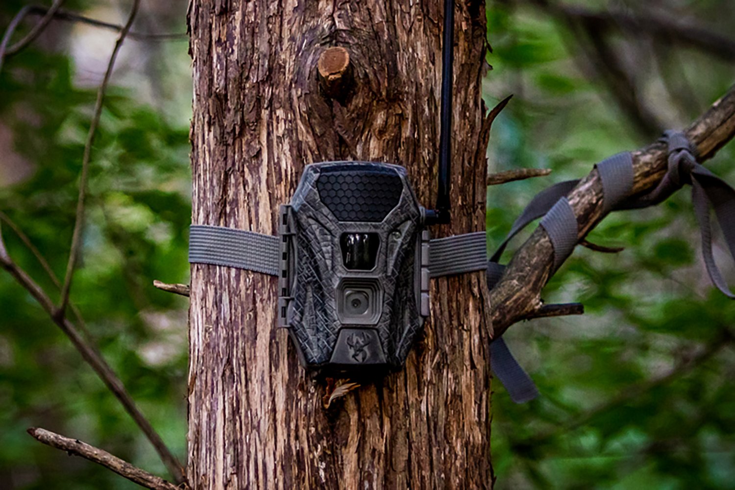 Wildgame Innovations Terra Cell 20MP Camera - view number 7
