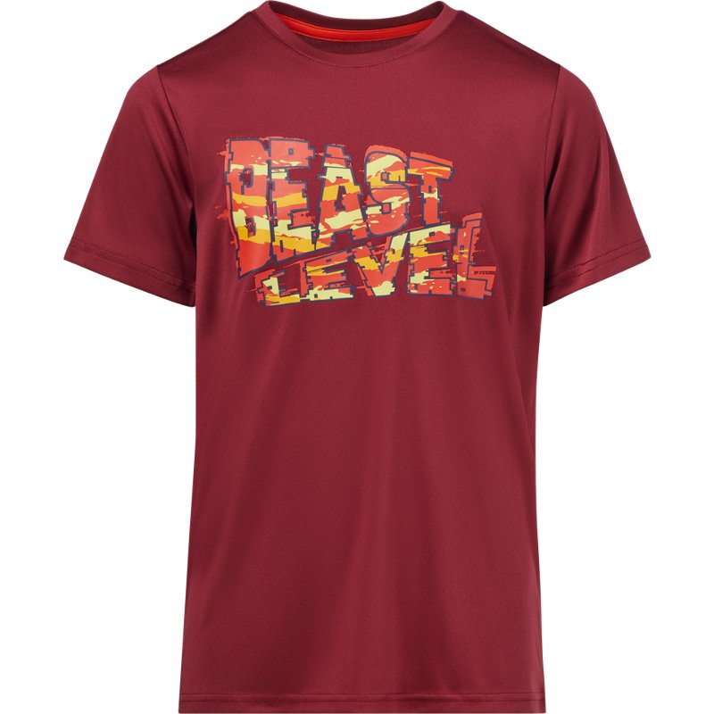 Bcg Boys' Beast Lev… - image
