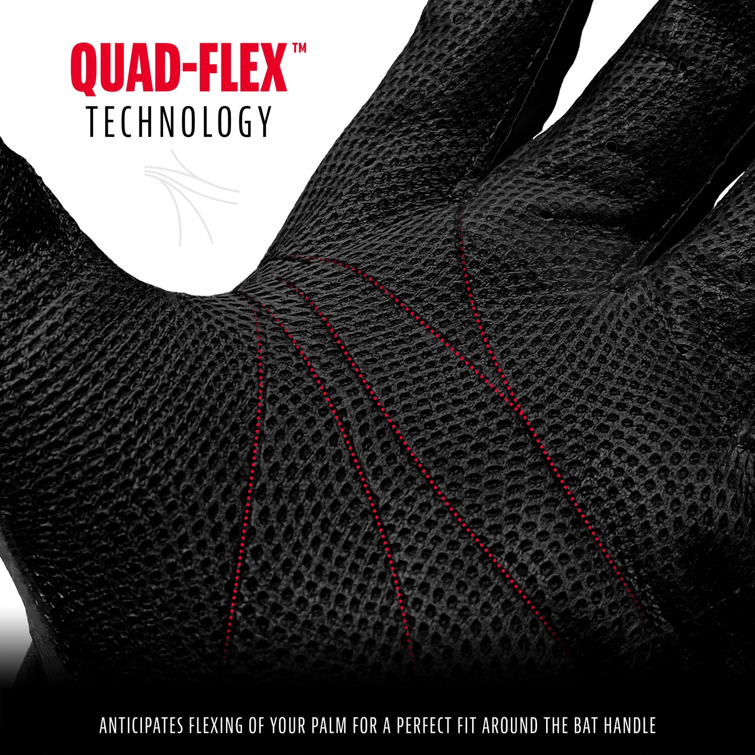 Franklin Adults' Neo Classic II Batting Gloves                                                                                   - view number 4