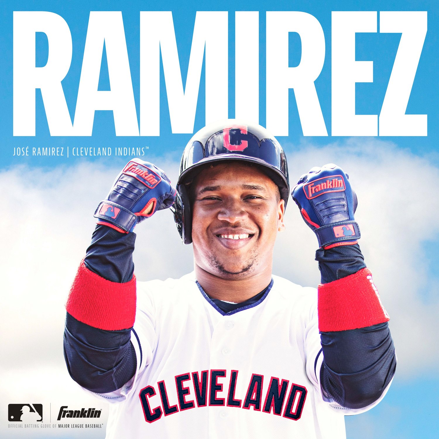 Franklin Youth CFX Pro Batting Gloves                                                                                            - view number 6