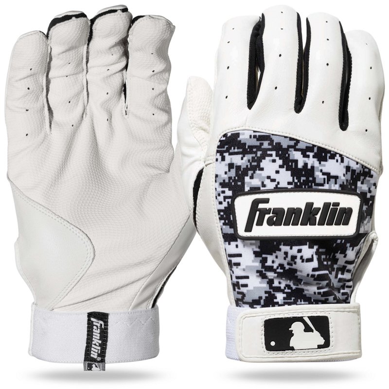 Franklin Youth Digi… - image