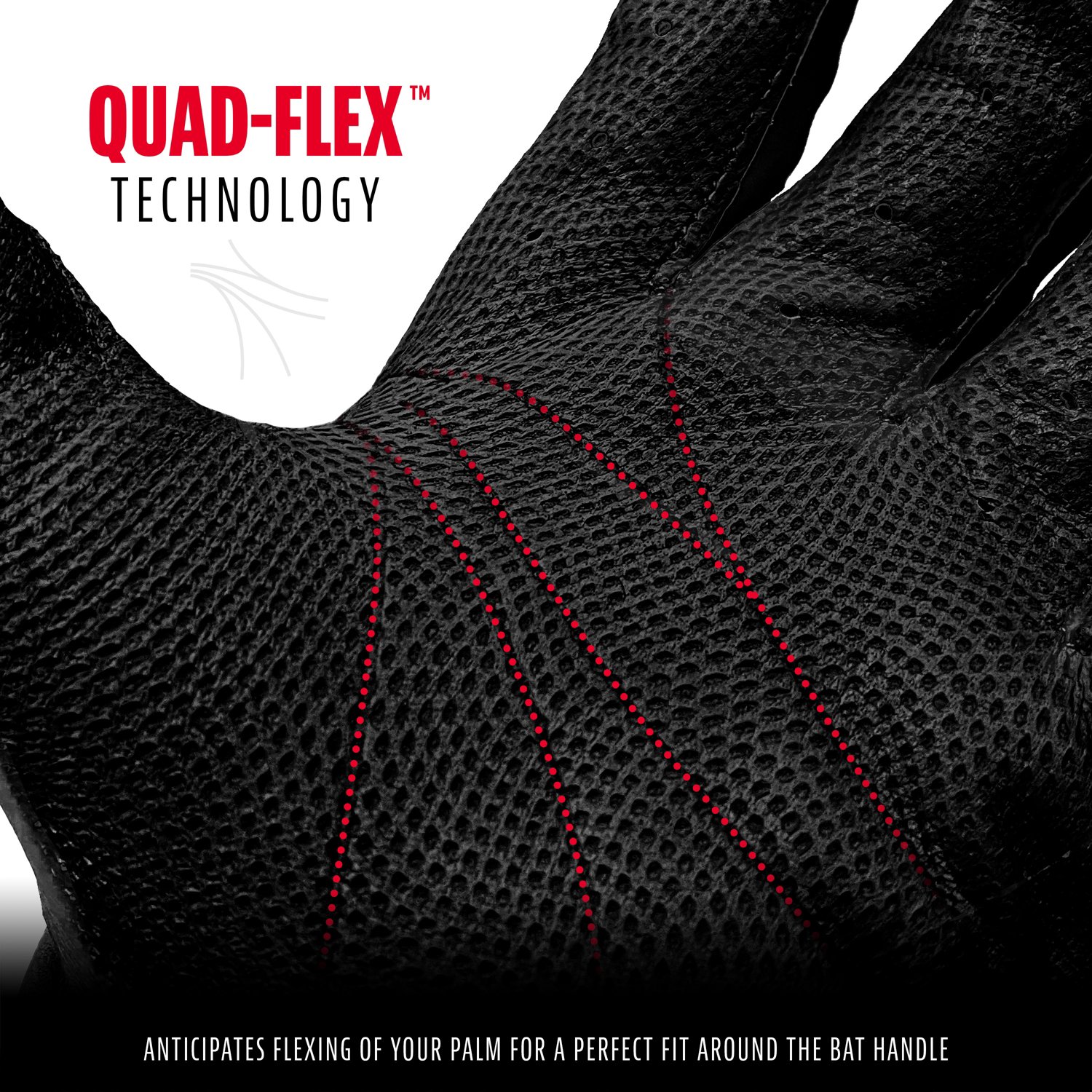 Franklin Adults' Pro Classic Batting Gloves                                                                                      - view number 3