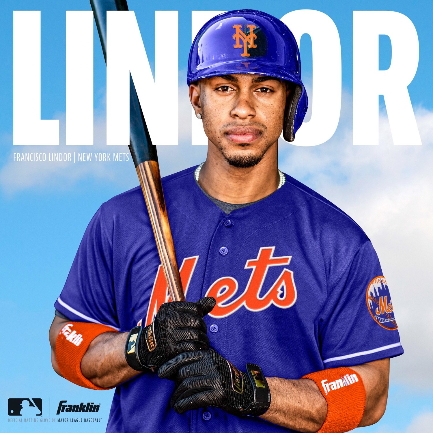 Franklin Adults' Pro Classic Batting Gloves                                                                                      - view number 6