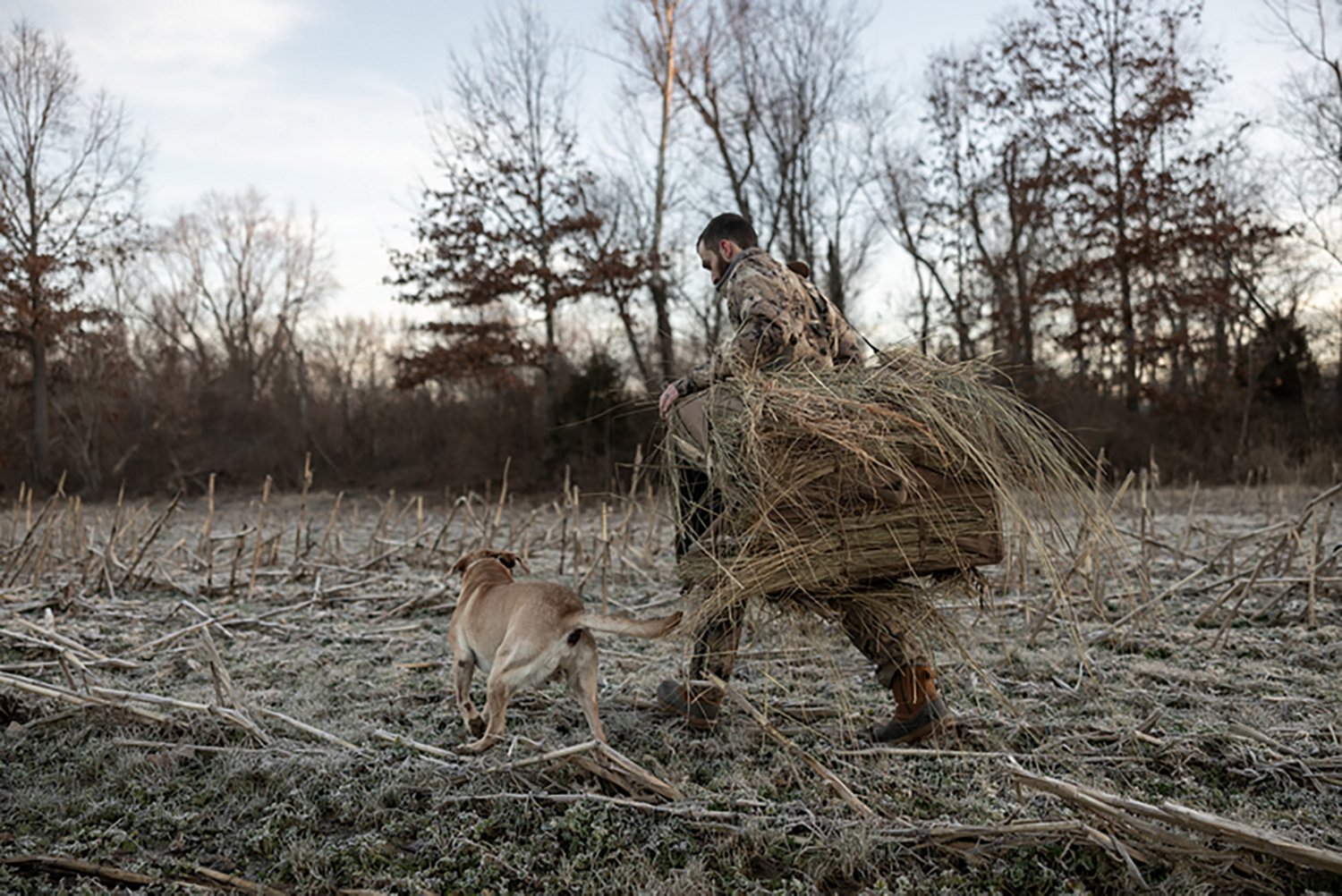 Higdon Quick Draw Dog Blind - view number 5