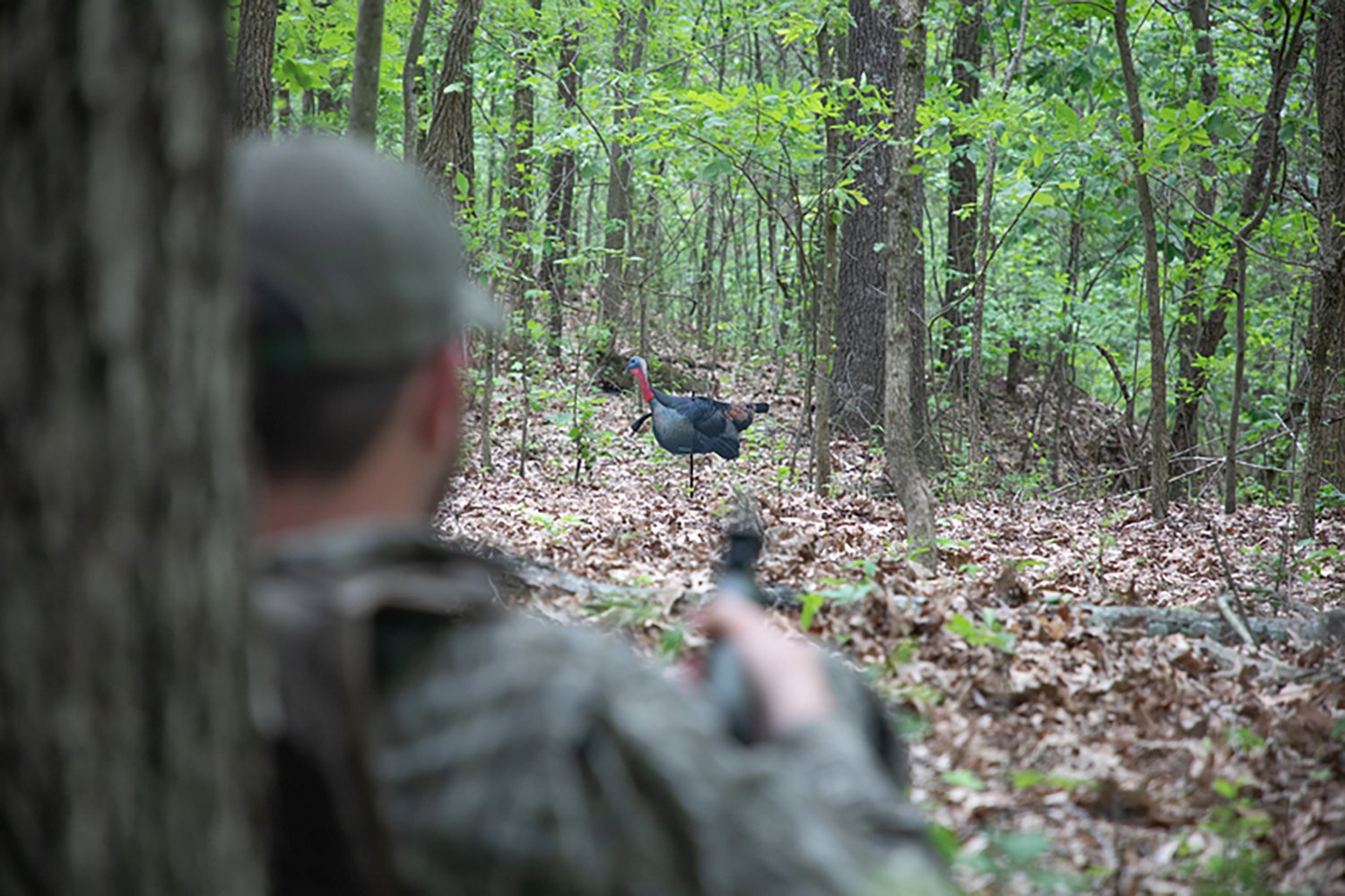 Higdon FLEX Turkey Upright Tom Silhouette - view number 3