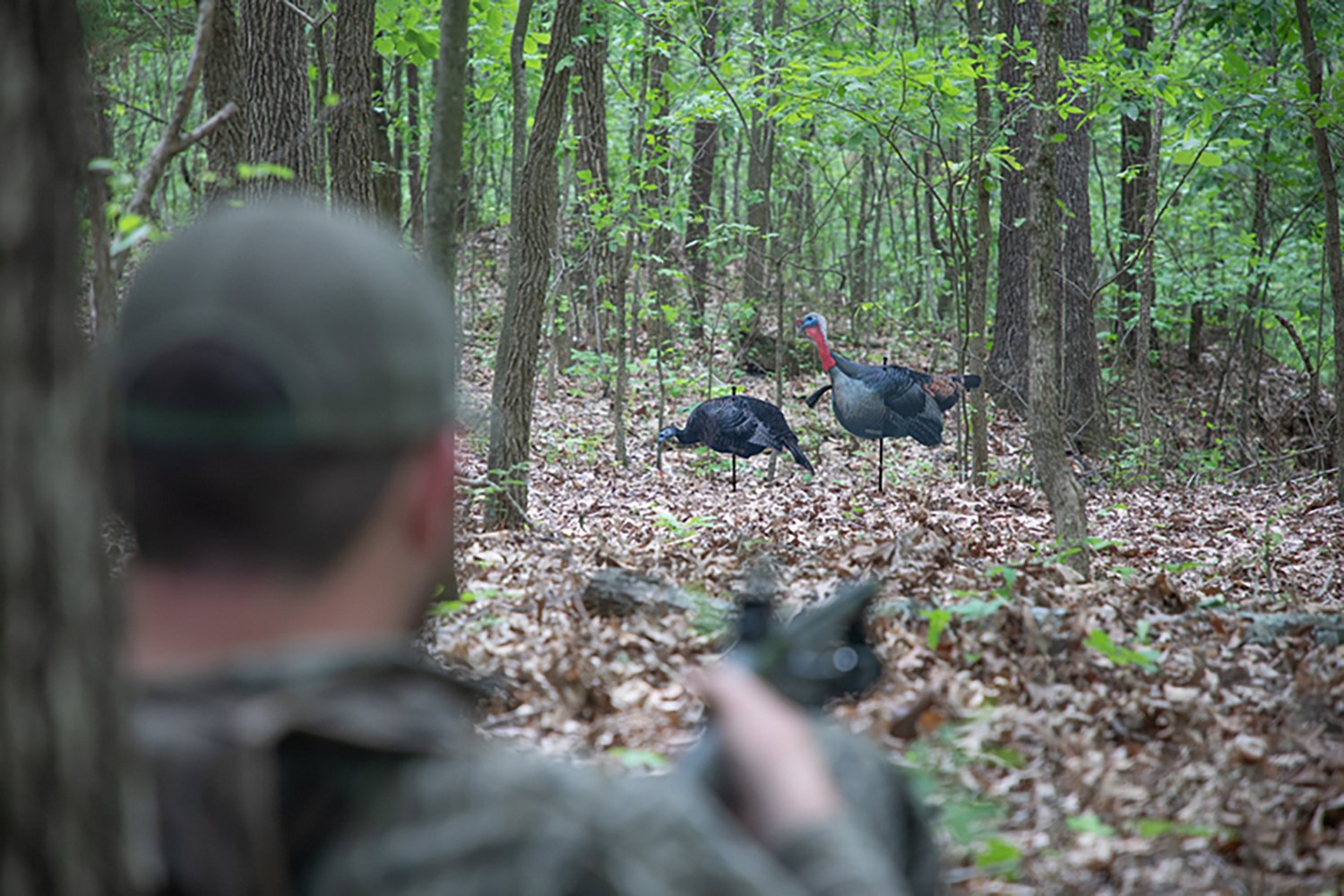 Higdon FLEX Turkey Tom and Hen Silhouettes Combo - view number 2