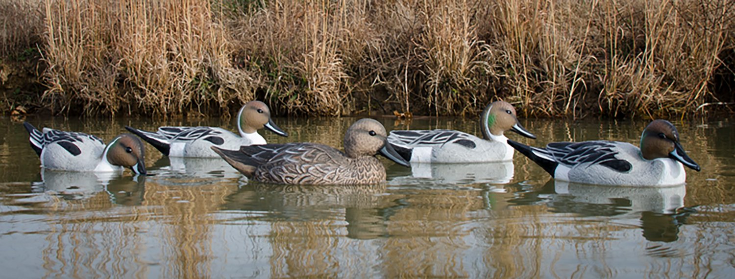 Higdon Standard Pintail Decoy 6-Pack - view number 6