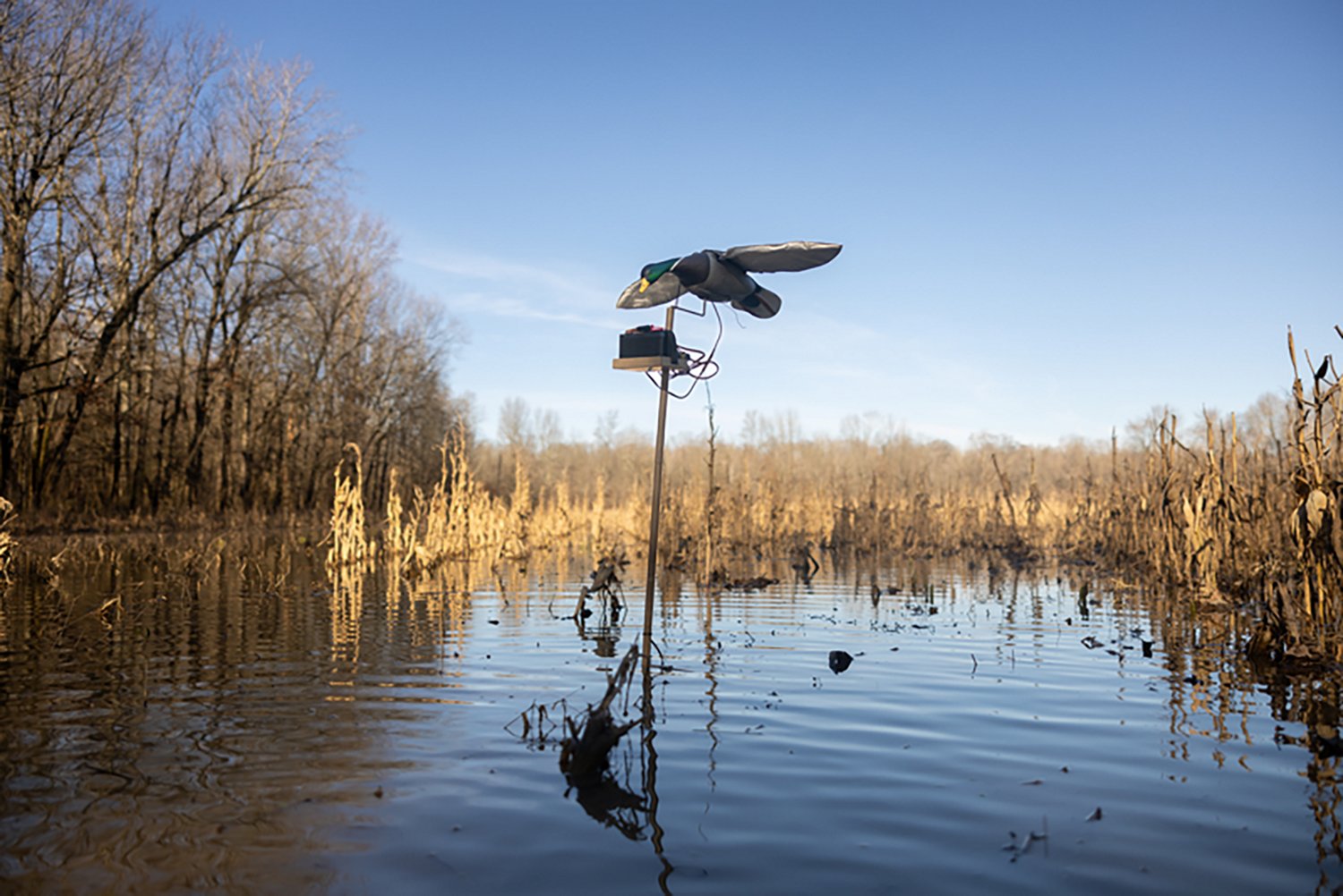Higdon Clone Water Stand - view number 5
