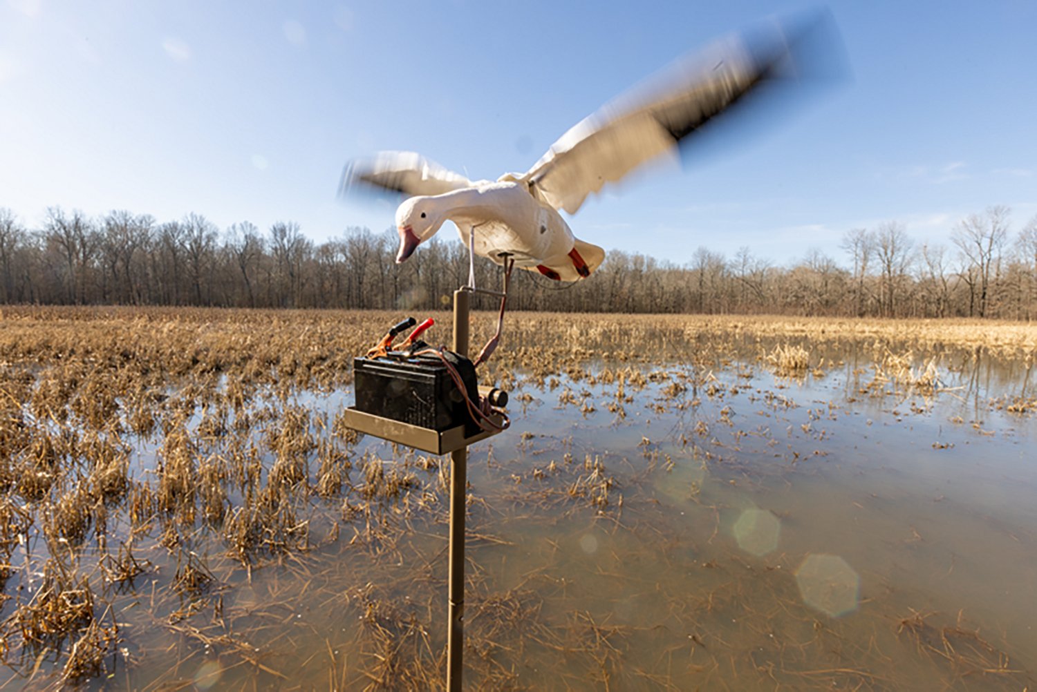 Higdon Clone Water Stand - view number 7