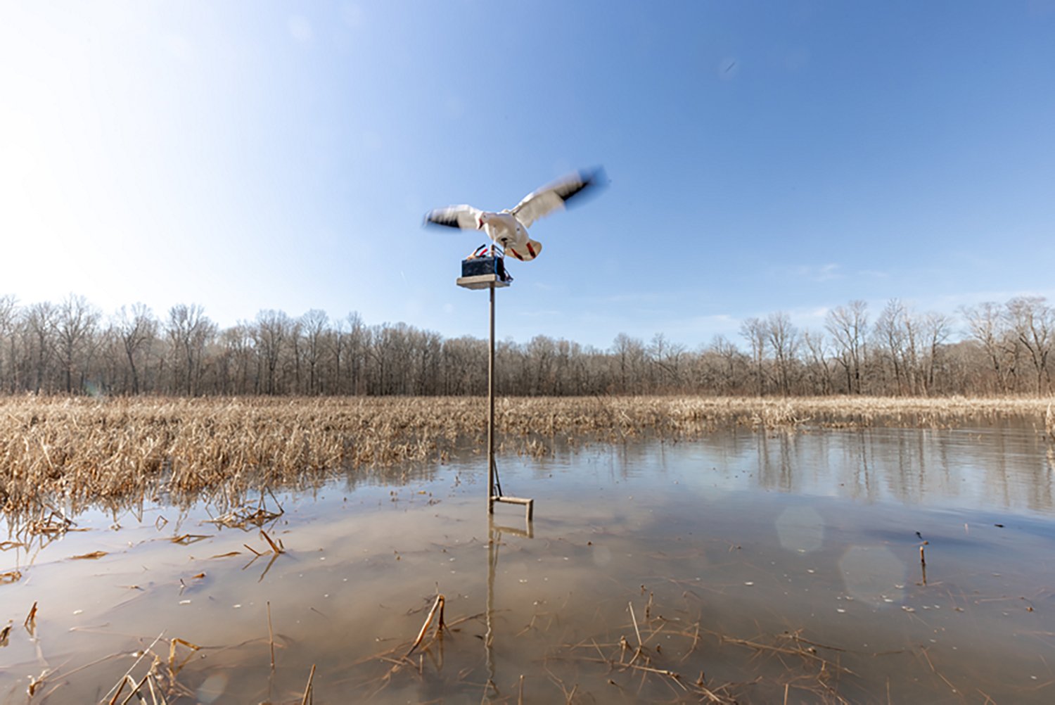 Higdon Clone Water Stand - view number 8