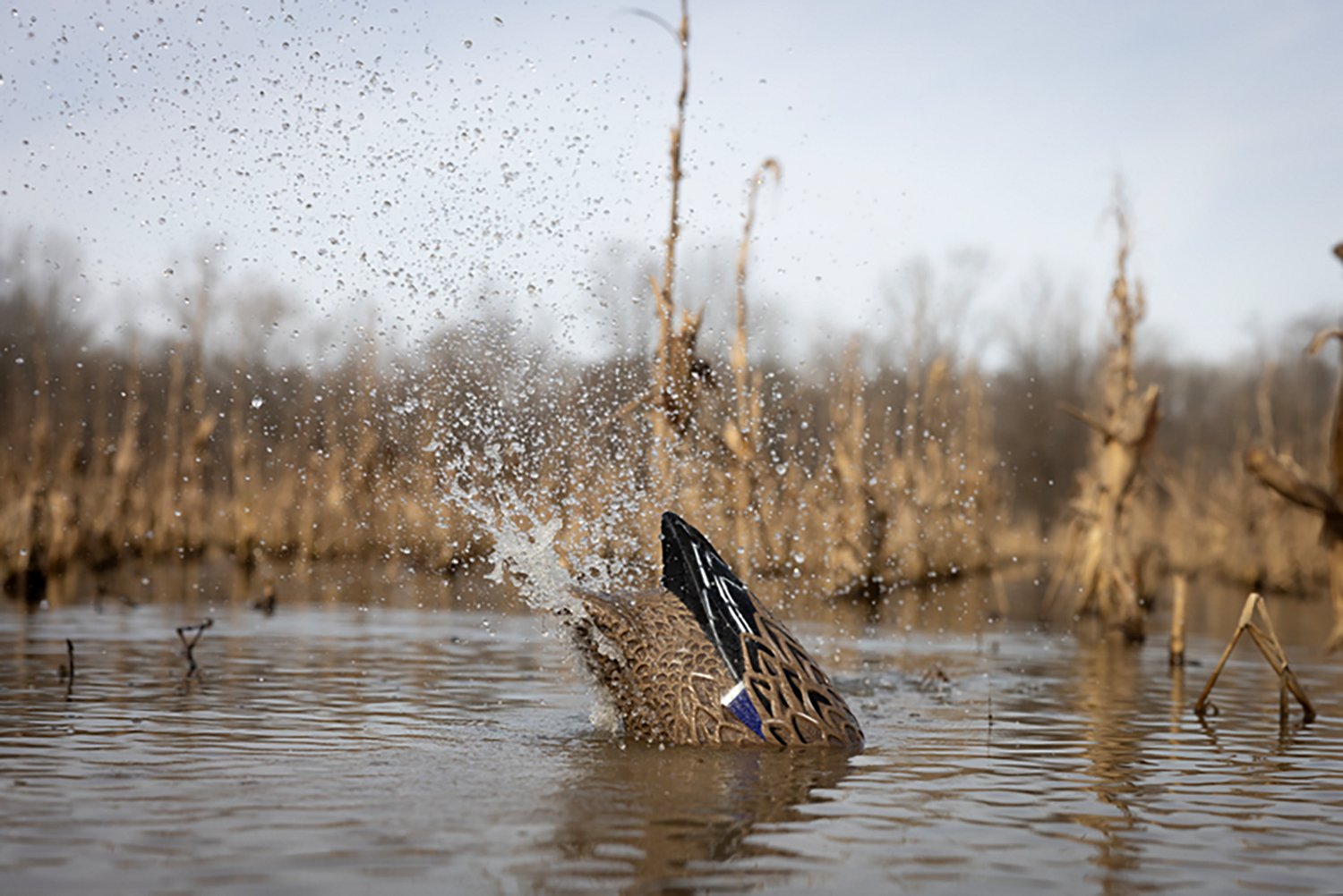 Higdon Pulsator PRO Mallard Hen Decoy - view number 5